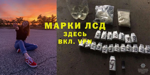 сатива Армянск