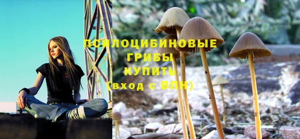 скорость Аркадак